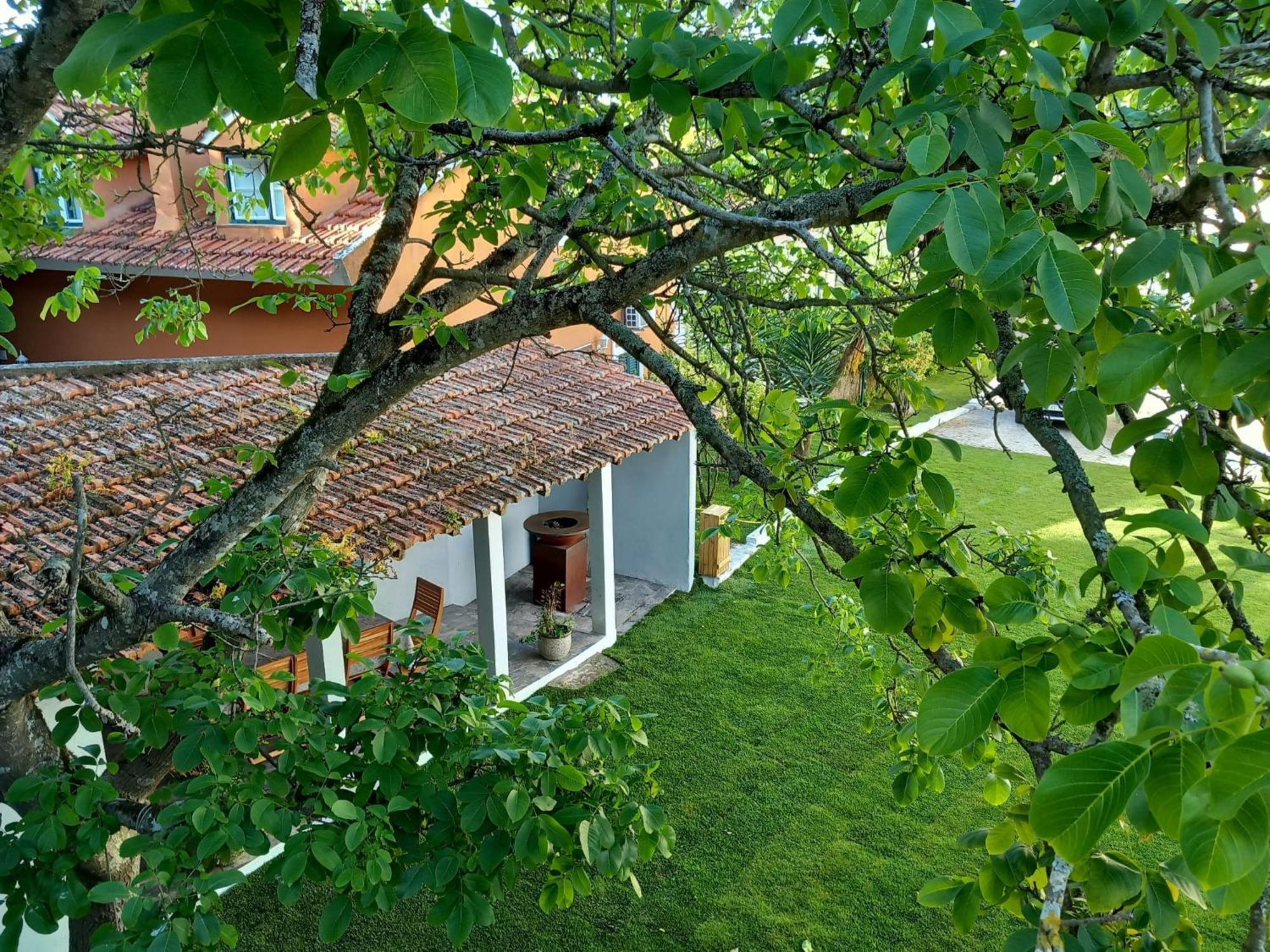 Villa In Sintra - Casa Da Penha Ferrim Zewnętrze zdjęcie