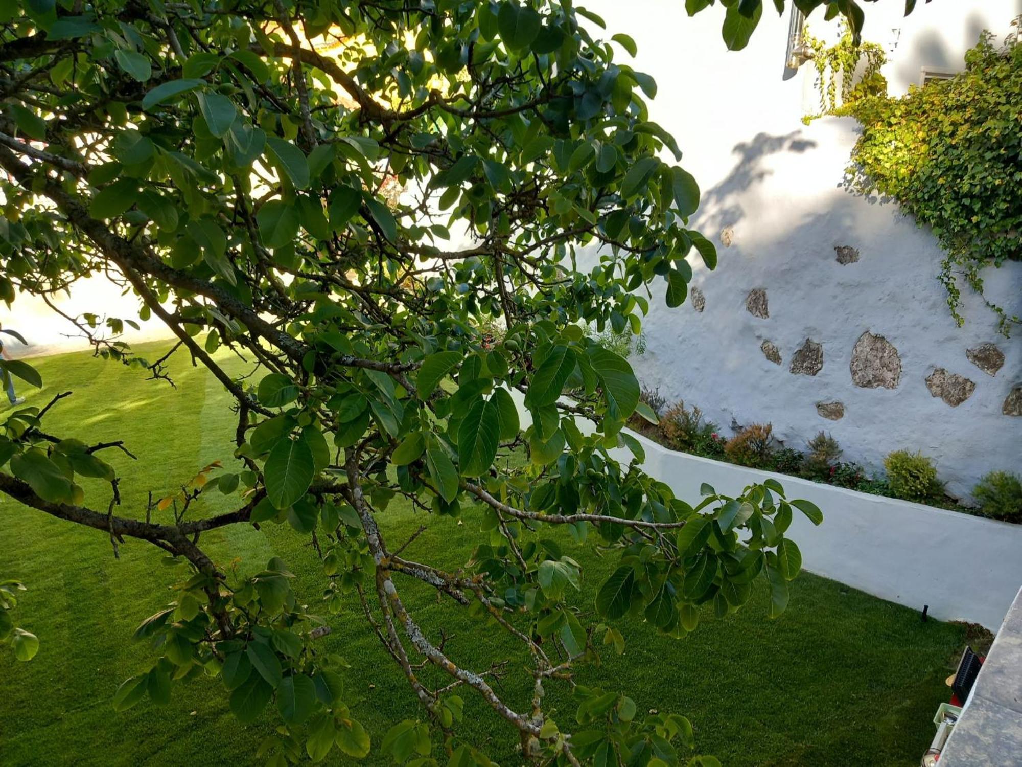 Villa In Sintra - Casa Da Penha Ferrim Zewnętrze zdjęcie