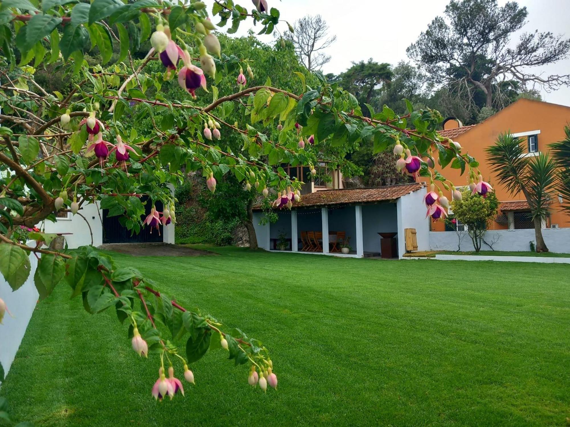 Villa In Sintra - Casa Da Penha Ferrim Zewnętrze zdjęcie